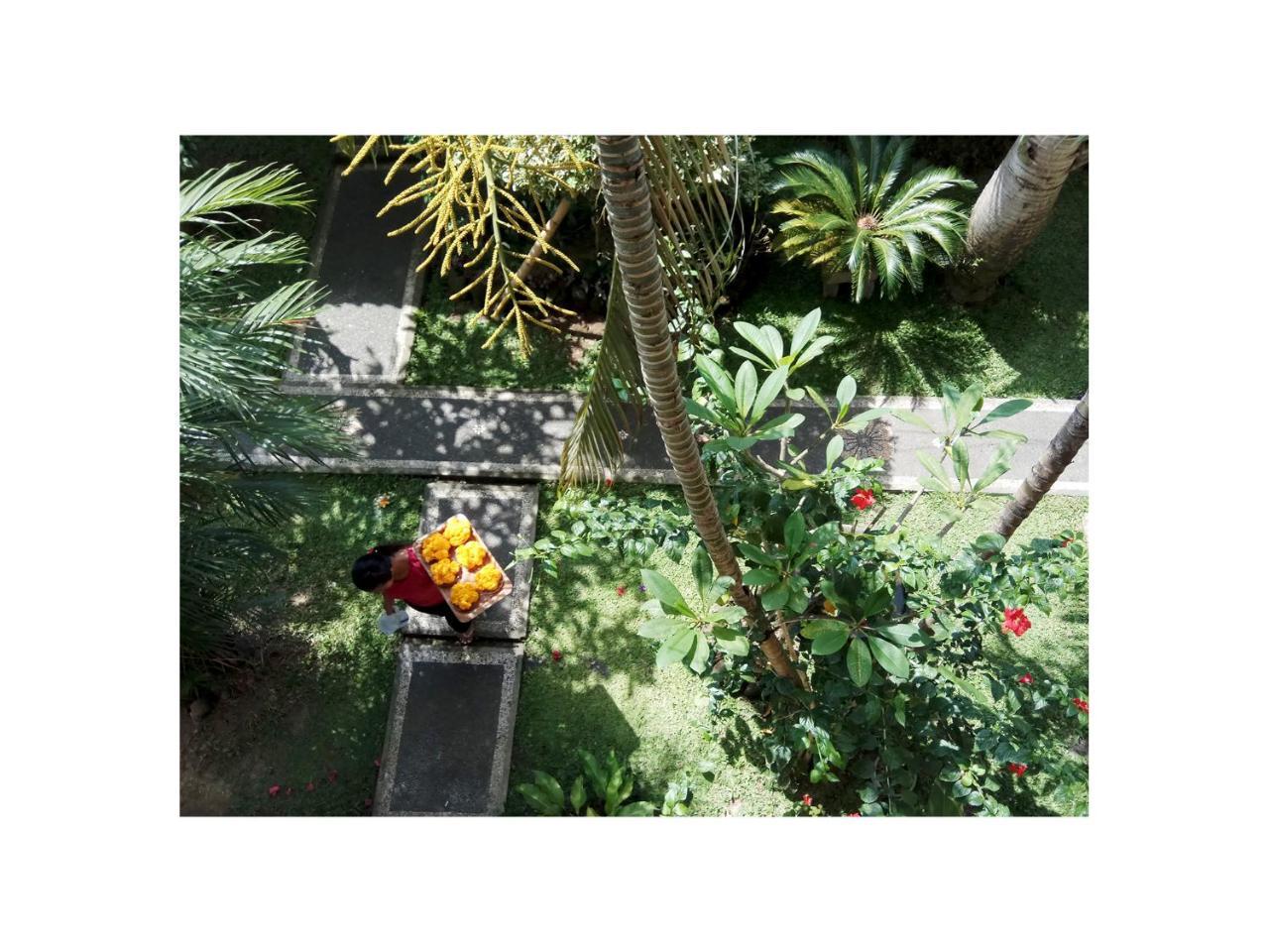 شقة In Da Garden أوبود المظهر الخارجي الصورة